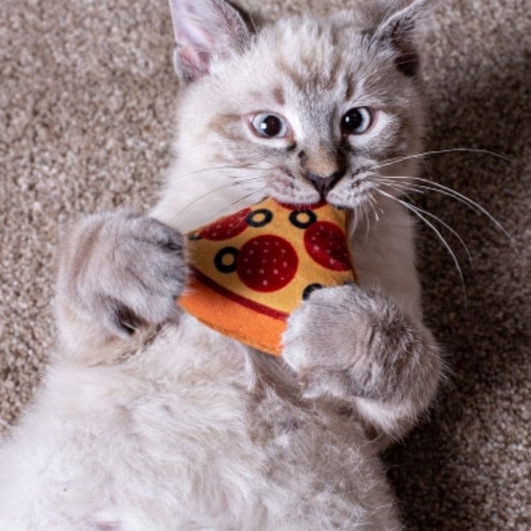 Multipet Realistic Pizza-Shaped Catnip-Enhanced Cat Toy for Feline Entertainment