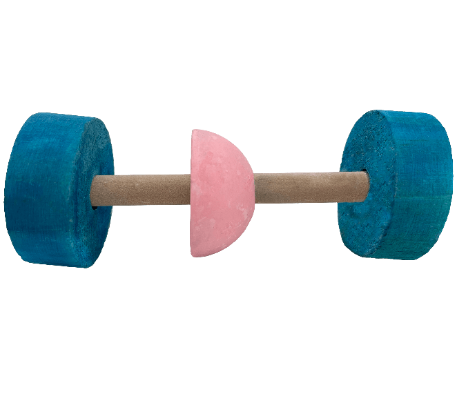 Moss Hollow Rock & Roller Interactive Barbell Toy for Small Pets