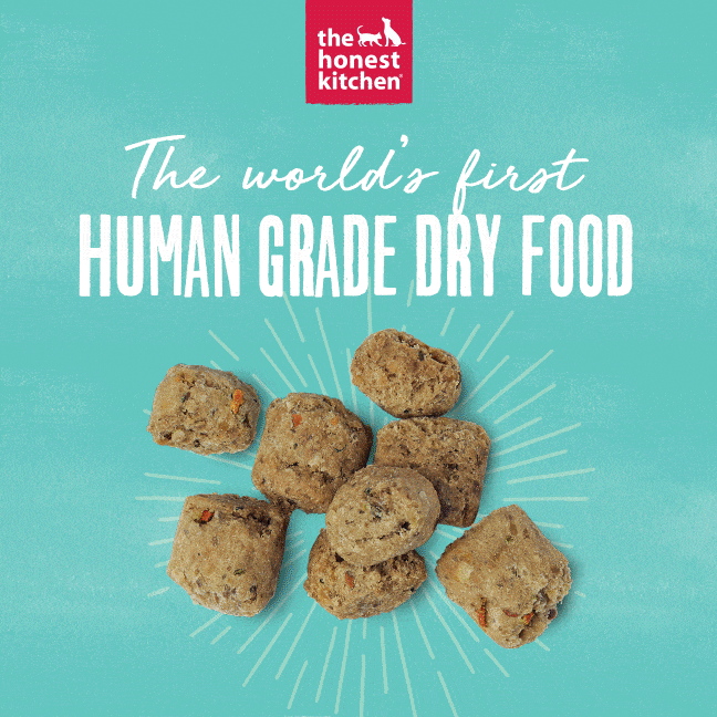 The Honest Kitchen 5lb Human - Grade GF Turkey Whole Food Clusters Dry Dog Food