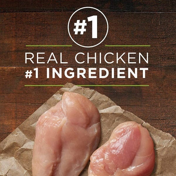 Purina ONE SmartBlend True Instinct Premium Canned Dog Food with Real Chicken and Duck
