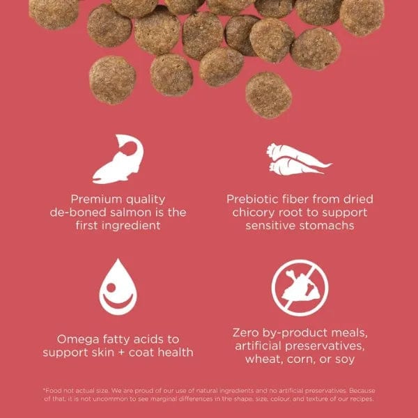 Go! Solutions High - Quality Sensitivities Limited Ingredient Grain - Free Dry Dog Food with Salmon Recipe