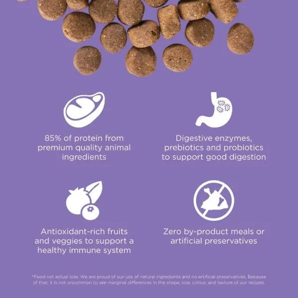 Go! Solutions Premium Carnivore Grain-Free Dry Dog Food Recipe with Chicken, Turkey & Duck for Senior Dogs