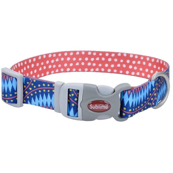 Sublime Durable Adjustable Dog Collar with Unique Patterns