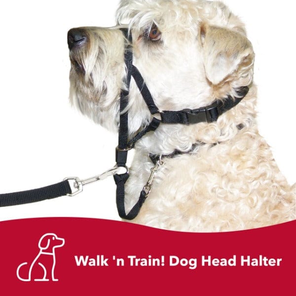 Walk 'n Train Dog Head Halter - A Fun and Effective No - Pull Solution for Dogs