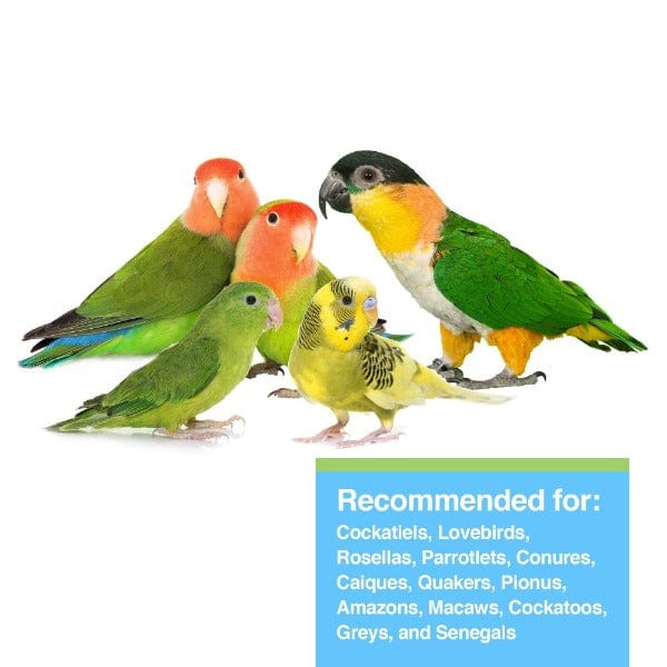 20lb Tropican Lifetime Formula Nutrition Sticks for Parrots