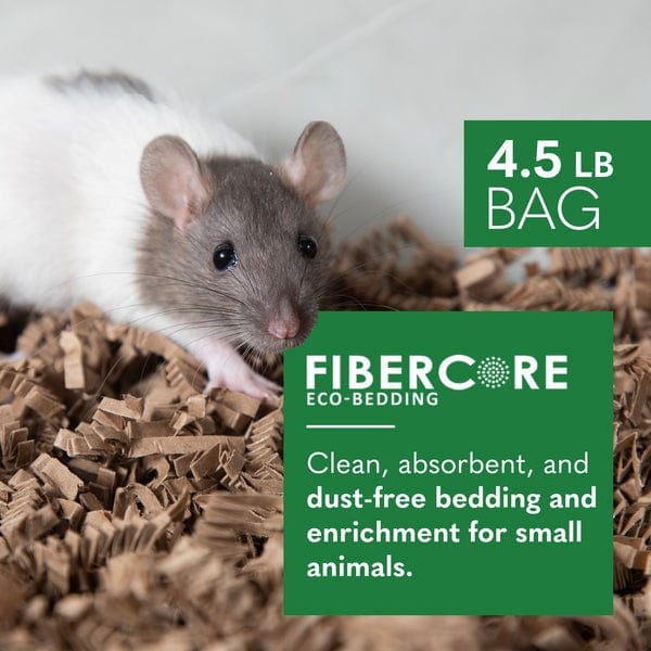 Environmentally Friendly Bedding Solutions for Small Pets