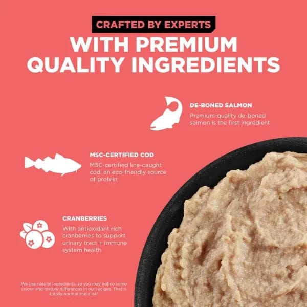 Go! Solutions Grain-Free Salmon & Cod Pate Wet Cat Food - Premium for Healthy Cats