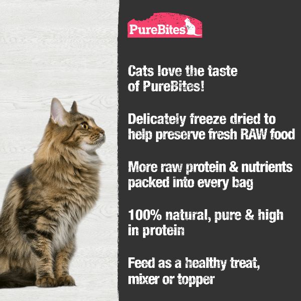 PureBites 23g Freeze-Dried Wild-Caught Shrimp Treats for Cats