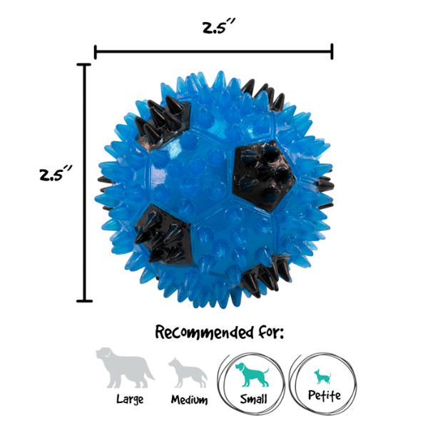 Gnawsome Small Interactive Squeaking and Flashing Light Soccer Ball Toy for Canines