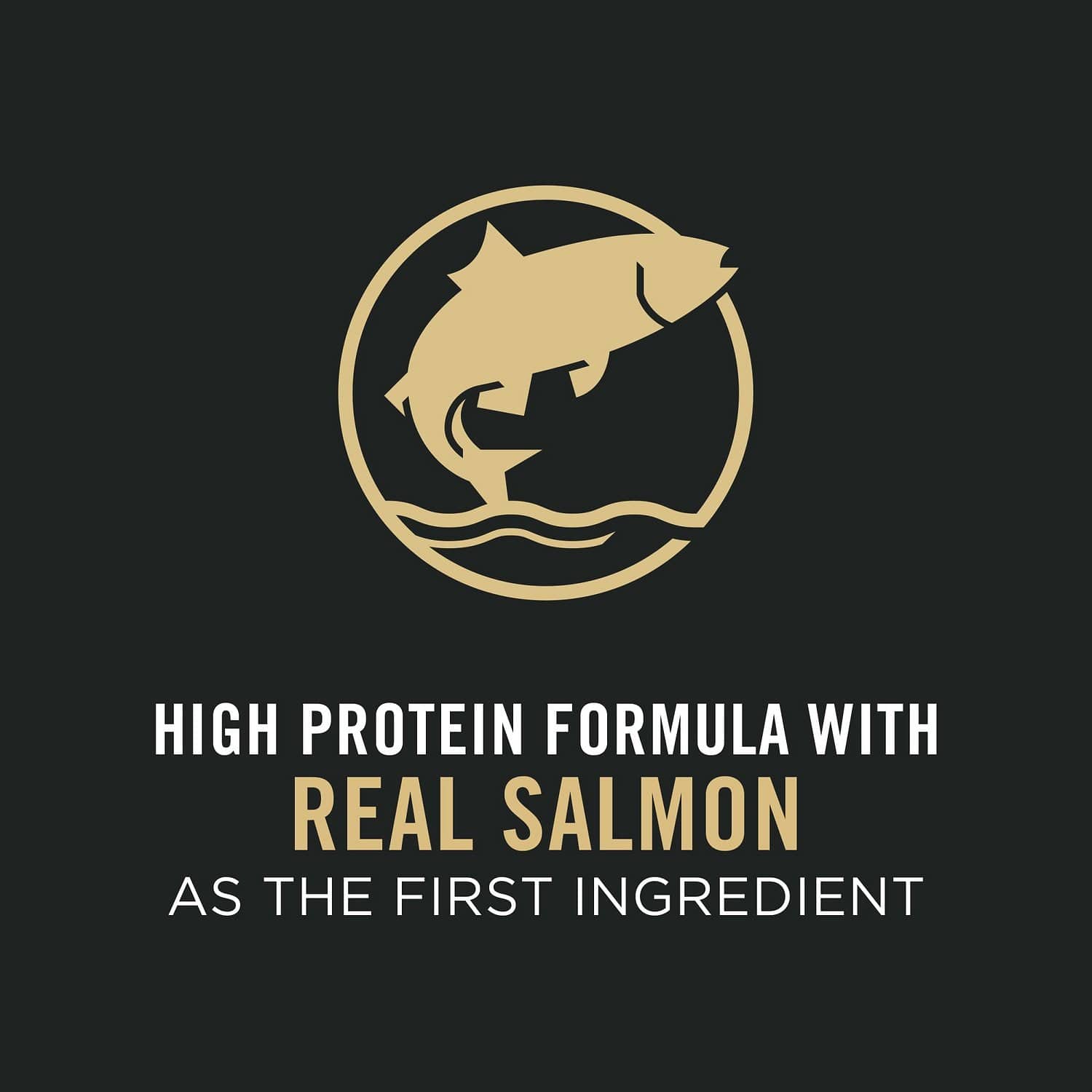 Purina Pro Plan Puppy Salmon & Rice Dry Food for Sensitive Skin and Stomach