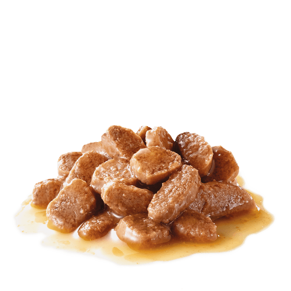 Royal Canin Adult Cat Instinctive Canned Food with Thin Slices in Gravy, 85 Grams