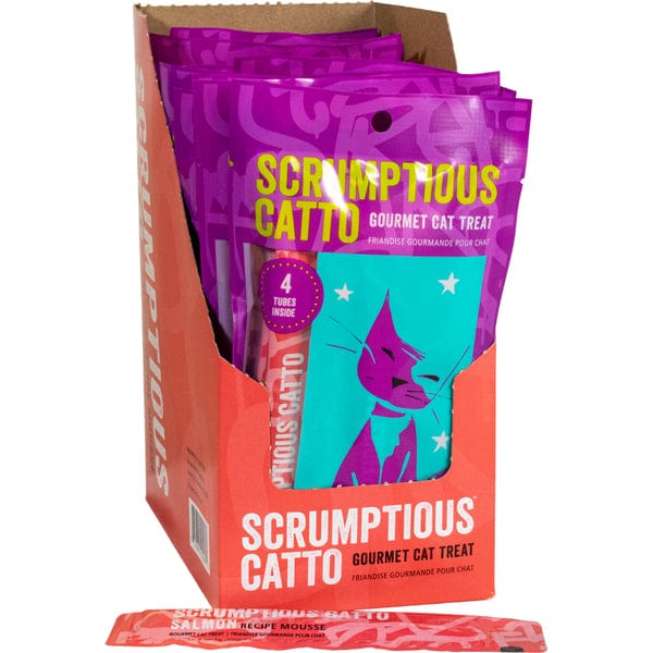 Delicious Catto Salmon Flavored Mousse Style Cat Treats - A Scrumptious Snack for Your Feline Friend