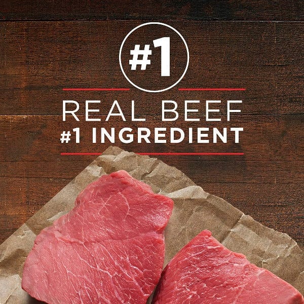 Purina ONE True Instinct Canned Dog Food with Premium Beef & Salmon