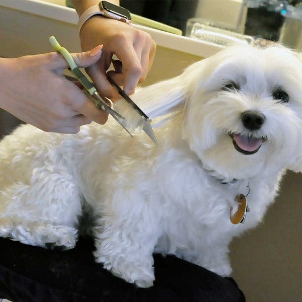 Safari Grooming Combs for Medium and Fine-Coated Dogs