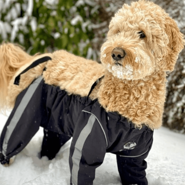 FouFouDog Waterproof Adjustable Bodyguard Pants for Dogs