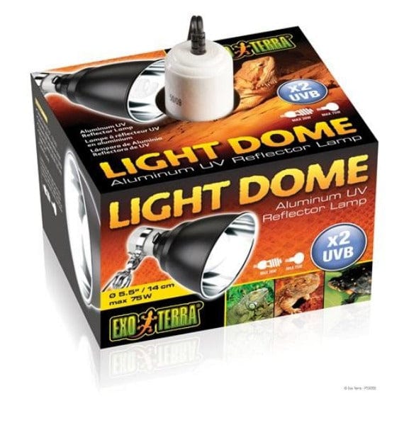 Exo Terra Compact & High - Efficiency Light Dome for Terrariums