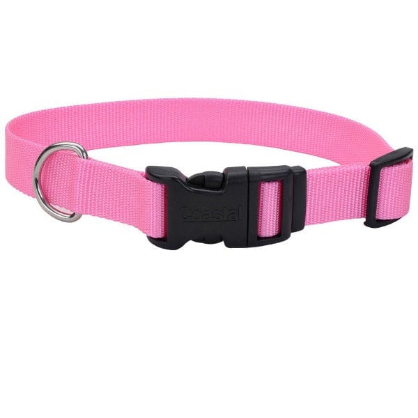 Stylish Coastal Adjustable Nylon Dog Collar with Comfortable Plastic Buckle