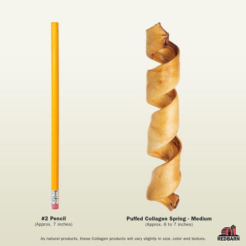 RedBarn Beef Hide Puffed Collagen Spring Dog Chew Treat