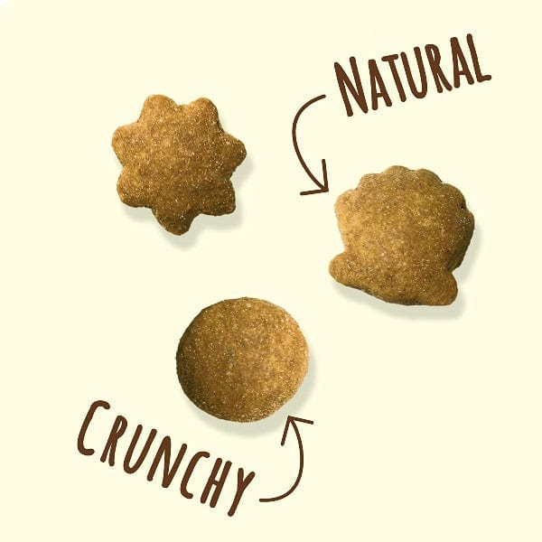 Friskies Naturals Gourmet Party Mix Cat Treats with Real Meat