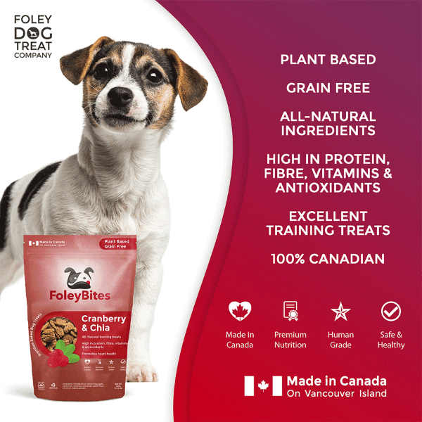 Premium Cranberry & Chia Baked Dog Treats by Foley - Plant - Based & Grain - Free