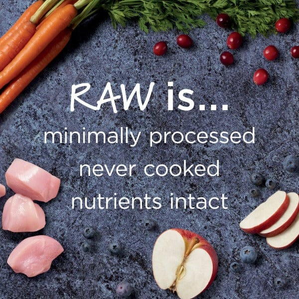 4lb Instinct Raw Boost Puppy Dry Food with Real Cage - free Chicken