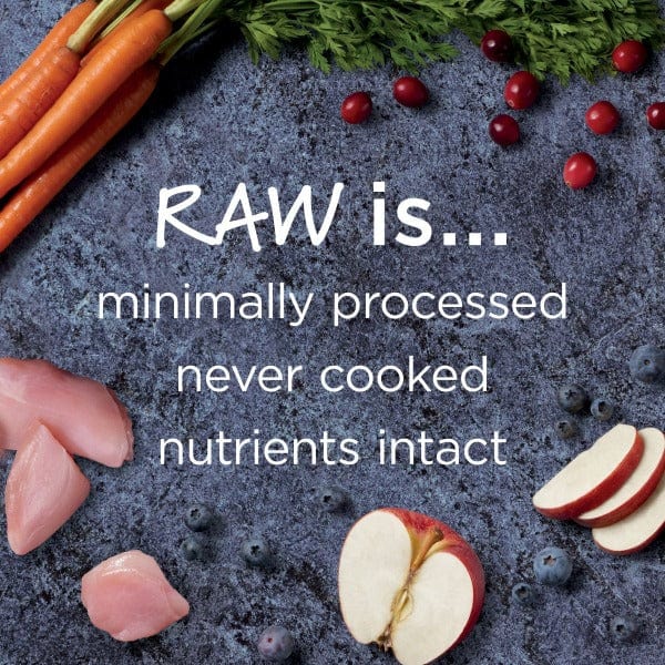 Instinct Raw Boost 4.5lb Grain - Free Dry Cat Food with Real Farm - Raised Rabbit for Indoor Health