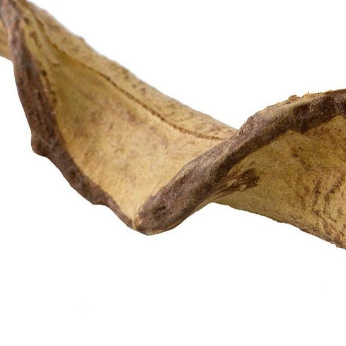 Reptizoo Flexible Twist Climbing Vine Ideal for Reptile Habitats