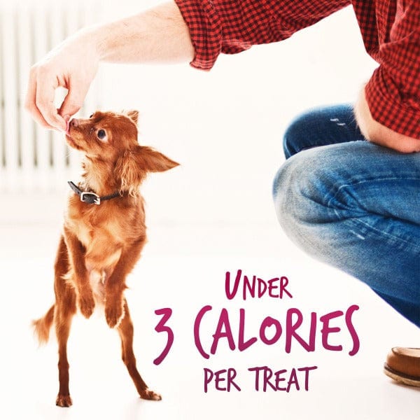 Fruitables Low - Calorie Mini Watermelon Flavored Dog Training Treats