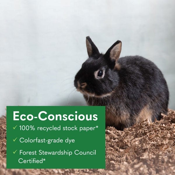 Environmentally Friendly Bedding Solutions for Small Pets