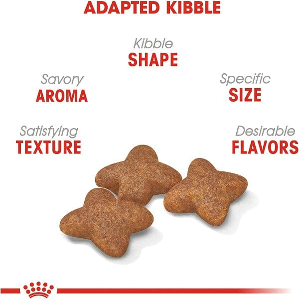 Royal Canin High - Energy Dry Dog Food for Small Adult Breeds