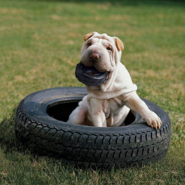 KONG Extreme Durable Rubber Tires Chew Toy for Dogs