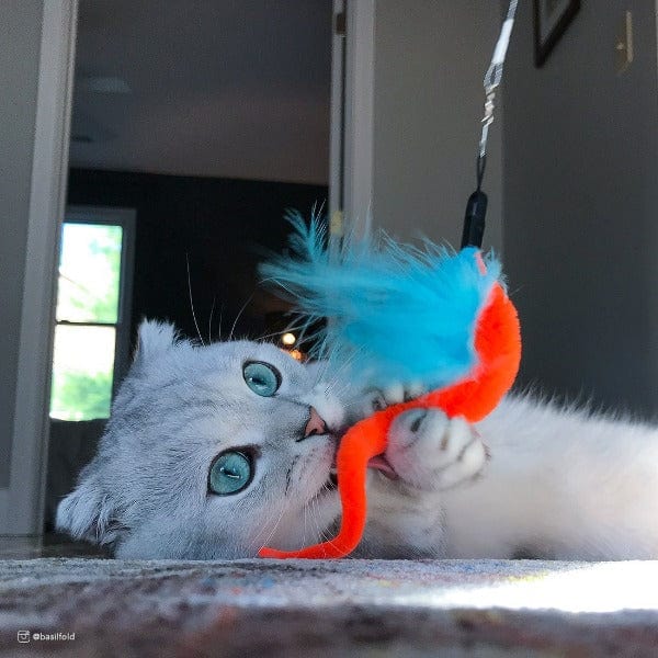 Turbo Tail Interactive Telescoping Cat Teaser Toy for Endless Fun