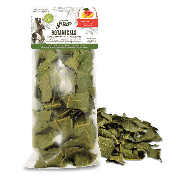Living World Green Botanicals Premium Dried Mango Leaves Pet Treat for Small Animals