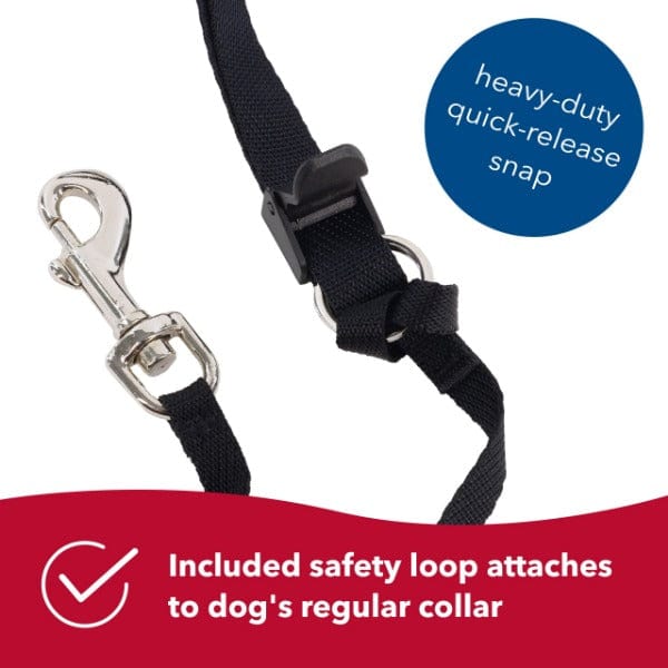 Walk 'n Train Dog Head Halter - A Fun and Effective No - Pull Solution for Dogs