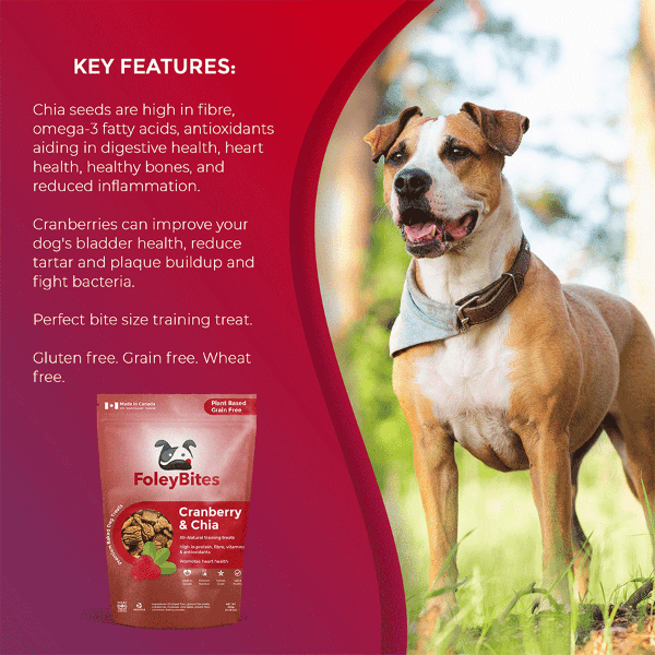 Premium Cranberry & Chia Baked Dog Treats by Foley - Plant - Based & Grain - Free