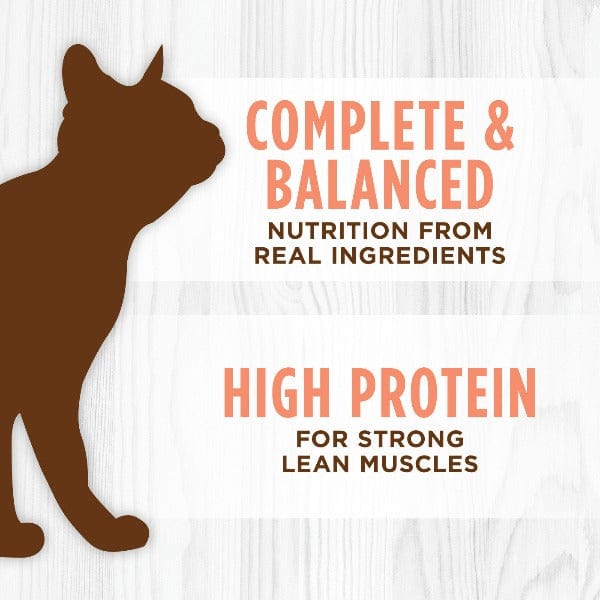 Instinct Original Grain - Free Canned Cat Food with Real Wild - Caught Salmon