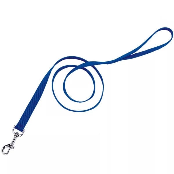 Coastal Classic Single-Ply Nylon Dog Walking Leash