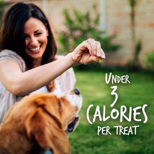 Fruitables Skinny Mini-sized Dog Treats with Pumpkin and Berry Flavors for Training and Daily Rewards