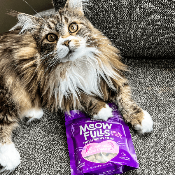 Stella & Chewy's Gourmet Meowfulls Cat Treats Made with Sustainably Sourced Whitefish and Salmon