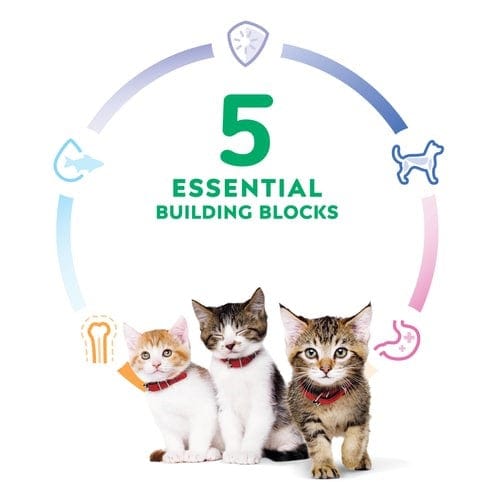 Hill's Science Diet Premium Dry Cat Food - Chicken Recipe for Kittens