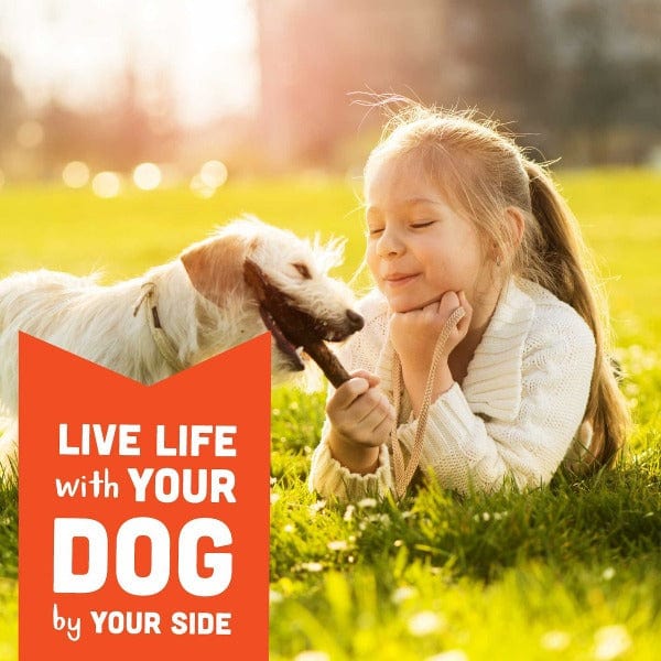 Soft & Chewy Dog Treats with Creamy Natural Peanut Butter - Wag More, Bark Less