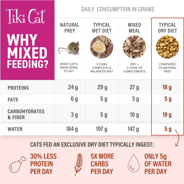 Tiki Cat Born Carnivore Variety Pack of Savory Broths as Cat Food Topper