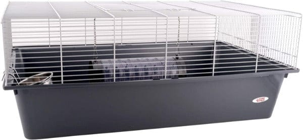 Living World Complete Starter Kit for Pet Rats with Easy Assembly