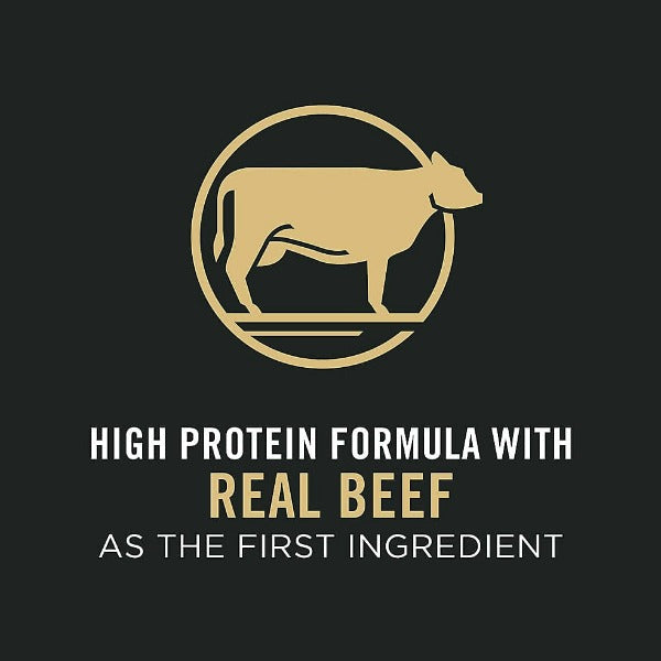 Purina Pro Plan Premium Adult Dry Dog Food - Shredded Blend of Beef and Rice Recipe