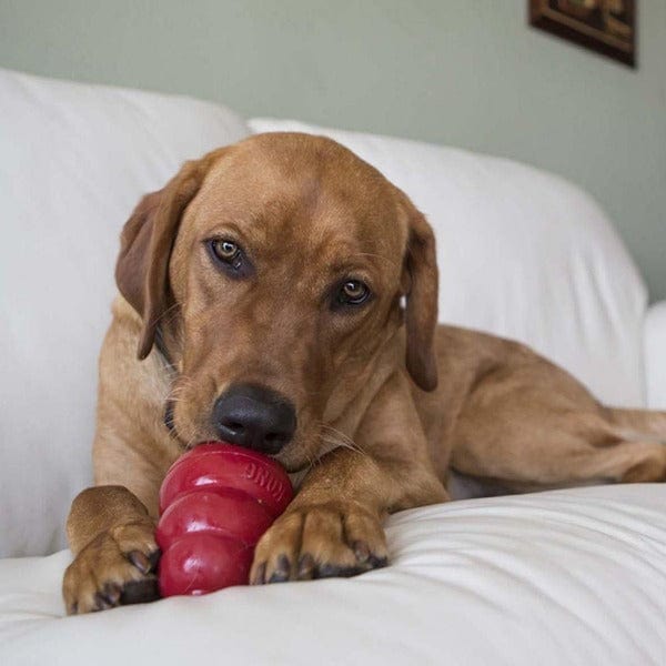 USA-Made KONG All-Natural Peanut Butter Dog Treats