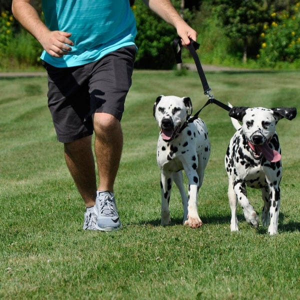 Adjustable Coastal Dog Coupler for Walking Two Dogs Simultaneously