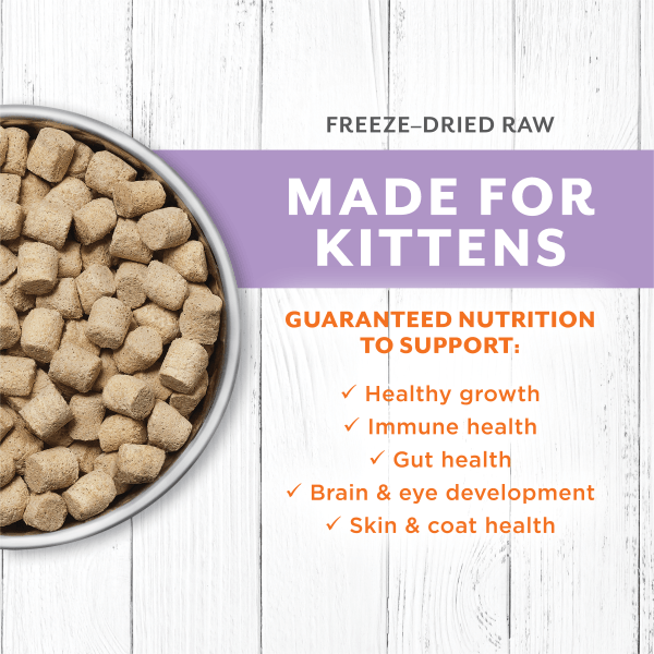 100% Freeze Dried Instinct Raw Longevity Kitten Food with Chicken, 9.5oz