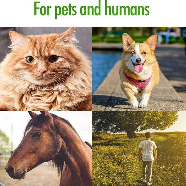 ZenPet Tick Tornado: An Effective Tick Removal Tool for Pets and Humans