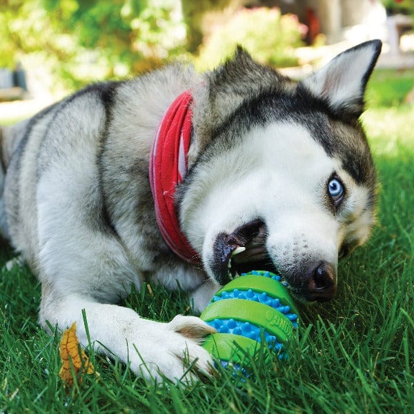 KONG Squeezz Goomz Interactive Football-Style Dog Toy for Light to Moderate Chewers
