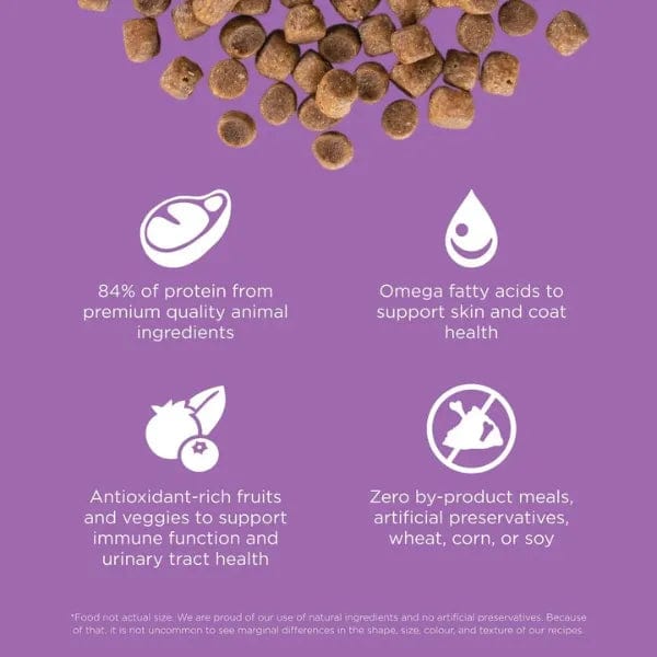 Go! Solutions Carnivore Grain-Free Dry Cat Food with Chicken, Turkey, and Duck Recipe for Optimal Feline Health